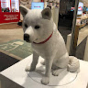 Meet your Posher, Thomas